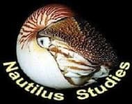 Sample 1 – Nautilus