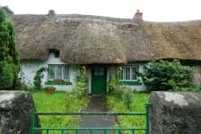 Sample 4 – Thatch