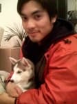 Sample 1 – Siberian husky