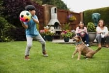 Sample 1 – People play with dog