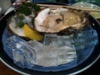 Sample 6 – Seafood