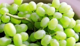 Sample 4 – Grapes