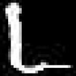Sample 2 – Re amharic