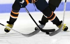 Sample 3 – Hockey stick