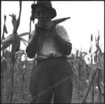 Sample 5 – Panpipe