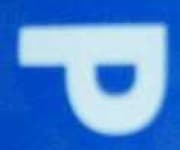 Sample 3 – P capital letter