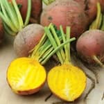 Sample 1 – Beetroot
