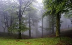 Sample 6 – Foggy