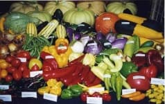 Sample 4 – Vegetables