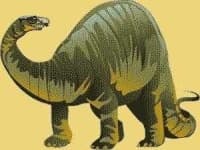 Sample 4 – Brontosaurus