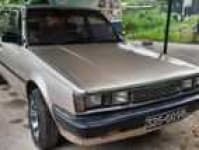 Sample 9 – Carina car