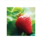 Sample 5 – Strawberry
