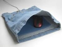 Sample 4 – Mouse