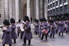 Sample 1 – Bearskin