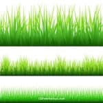 Sample 3 – Grass