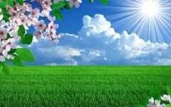 Sample 3 – Sunny