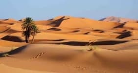 Sample 3 – Desert