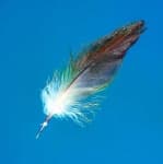 Sample 1 – Quill
