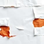 Sample 5 – Burnt edges