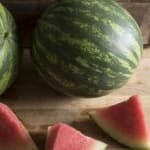 Sample 6 – Watermelon