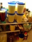 Sample 4 – Eggnog