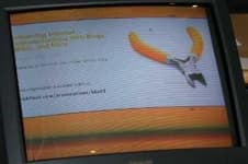 Sample of Screen