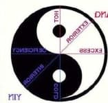 Sample 1 – Yin yang