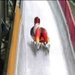 Sample 1 – Luge