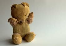 Sample 2 – Teddy