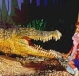 Sample 6 – Crocodile head