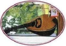 Sample 3 – Mandolin