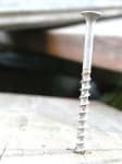 Sample 1 – Screw