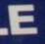 Sample 2 – E capital letter