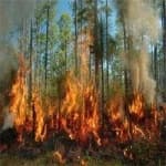 Sample 3 – Wildfire
