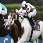 Sample 2 – Horse racing