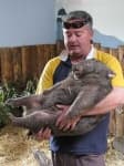 Sample 4 – Wombat