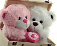 Sample 3 – Teddy bear