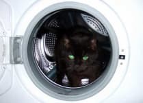 Sample 2 – Washer