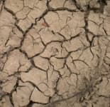 Sample 3 – Cracked