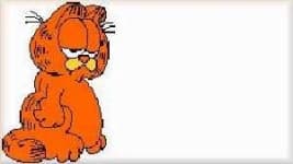 Sample 2 – Garfield