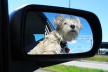 Sample 1 – Car mirror