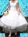 Sample 2 – Hoopskirt