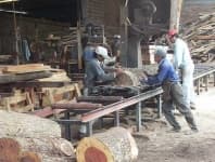 Sample 3 – Lumbermill