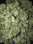 Sample 2 – Blueberry