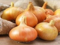 Sample 6 – Onion