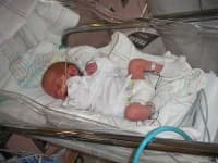 Sample 4 – Bassinet