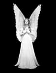 Sample 1 – Angel