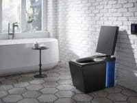 Sample of Toilet