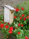 Sample 6 – Birdhouse
