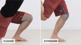Sample 2 – Knee